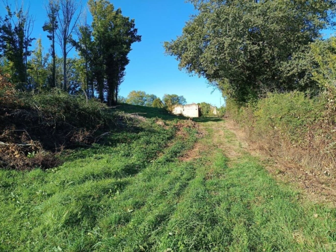 Photos 3 - Agricole - Terrain de 9582m²