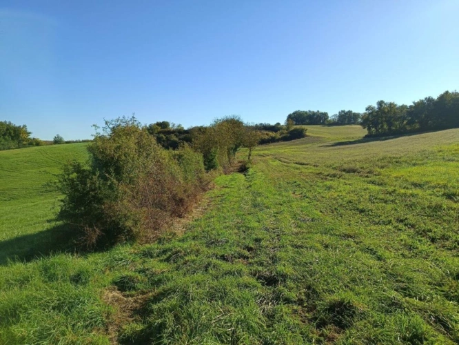 Photos 5 - Agricole - Terrain de 9582m²