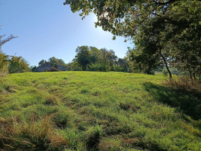 Photos 6 - Agricole - Terrain de 9582m²