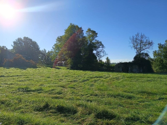 Photos 7 - Agricole - Terrain de 9582m²
