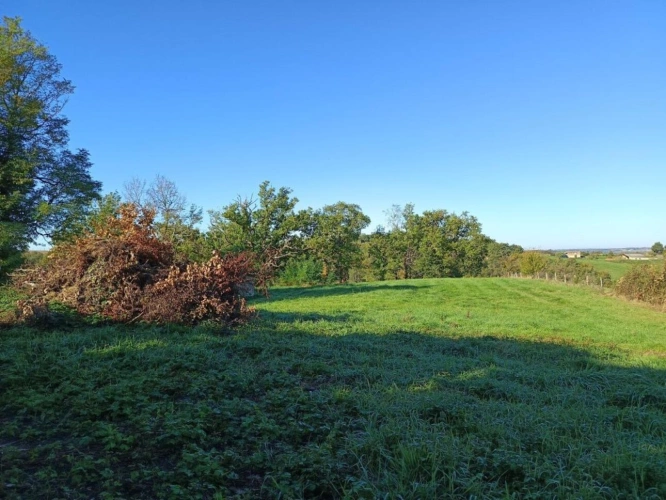 Photos 9 - Agricole - Terrain de 9582m²