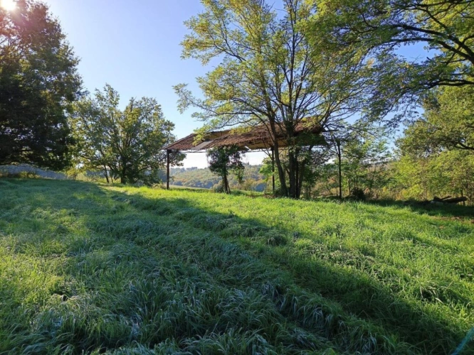 Photos 11 - Agricole - Terrain de 9582m²