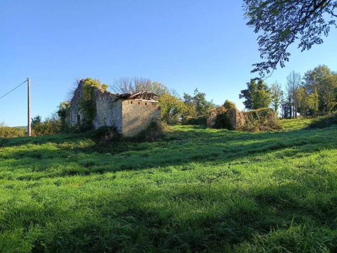 Photos 12 - Agricole - Terrain de 9582m²