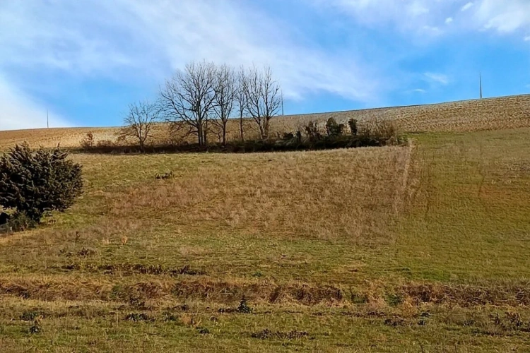 Photos 2 - Agricole - Terrain Agricole à Graulhet 3282 m²