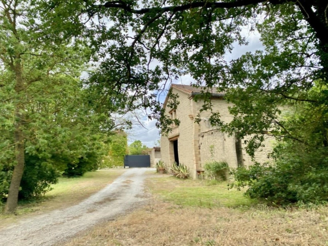 Photos 5 - Prestigious - Magnificent property on the outskirts of Carcassonne: park, swimming pool
