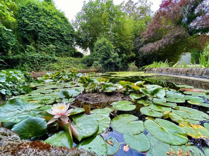 Photos 6 - Prestigious - Magnificent property on the outskirts of Carcassonne: park, swimming pool