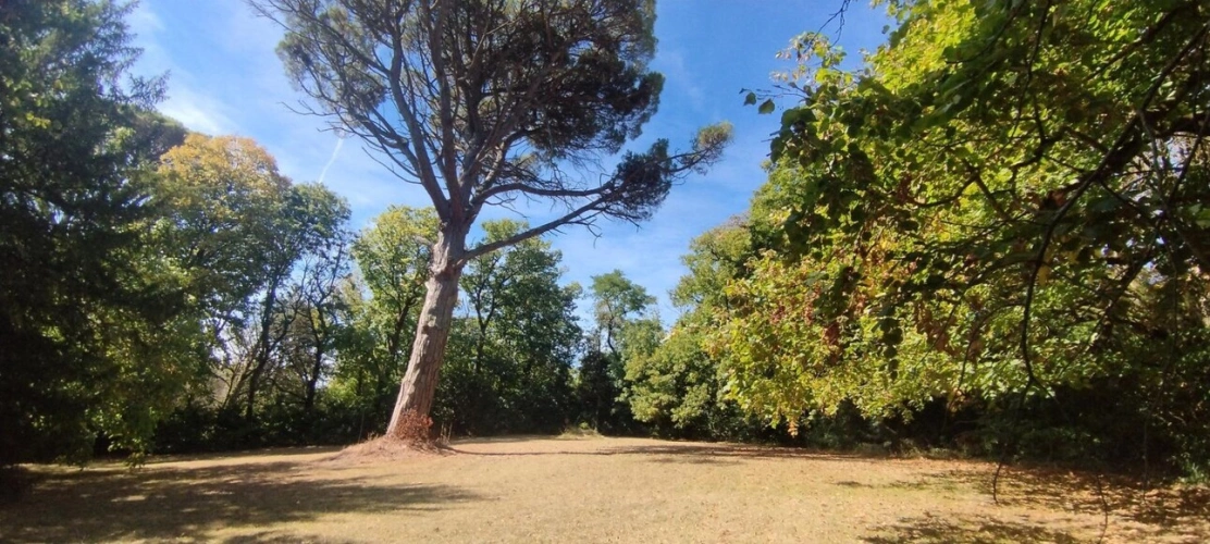 Photos 8 - Rurale - Demeure de caractère avec beau parc
