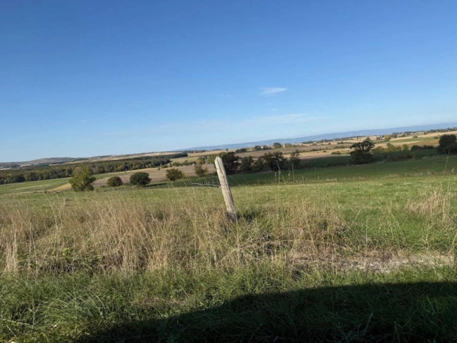 Photos 5 - Agricole - Propriété agricole dans le Lauragais