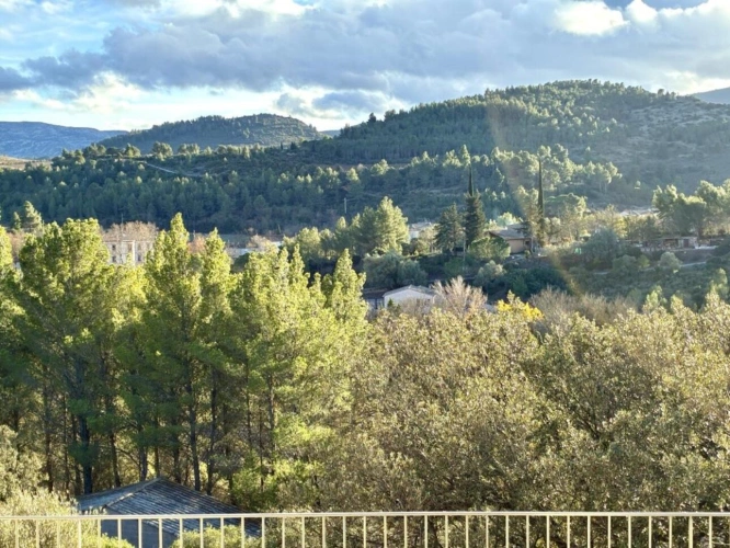 Photos 6 - Prestige - Splendide mas en pierre, piscine, vues sur les Corbières et le chateau
