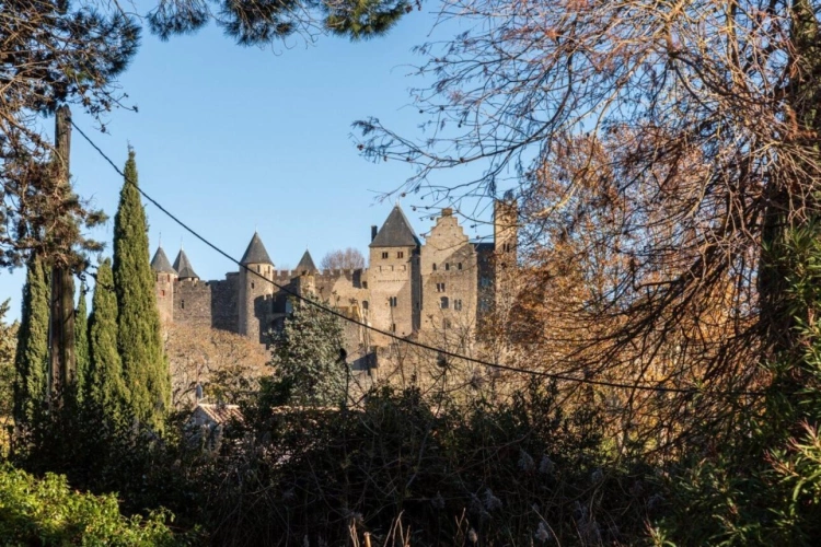 Photos 3 - Prestige - Propriété de charme au pied de la Cité médiavale