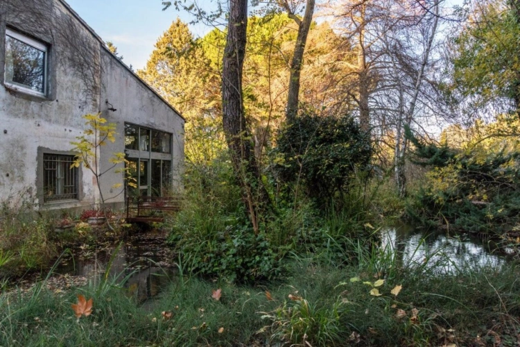 Photos 17 - Prestige - Propriété de charme au pied de la Cité médiavale
