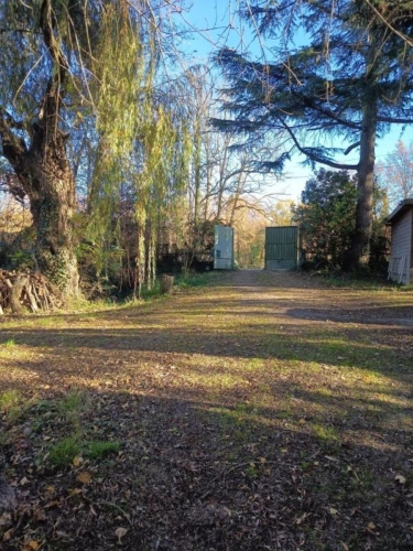 Photos 18 - Prestige - Propriété de charme au pied de la Cité médiavale