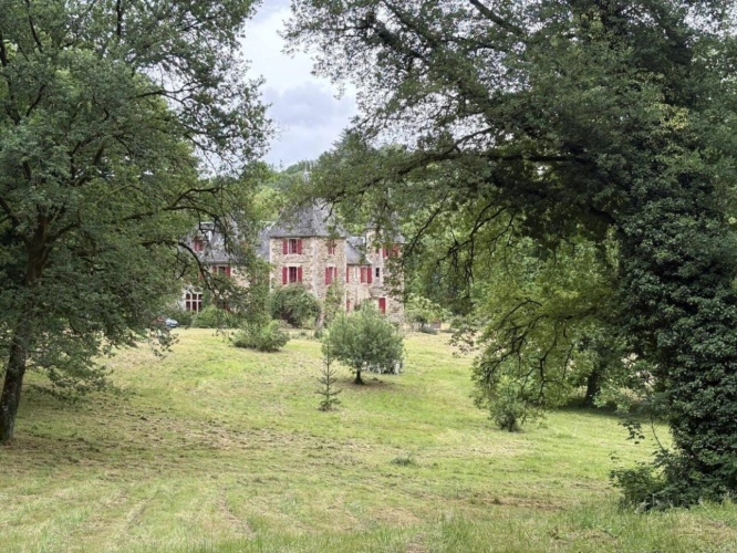 Photos 11 - Prestige - Magnifique château restauré du XIVe siècle à Lagraulière - Un joyau historique au coeur de la Corrèze