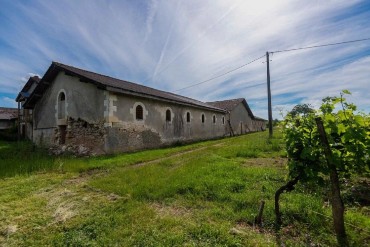 Photos 4 - Prestige - Château Le Marin à Gensac