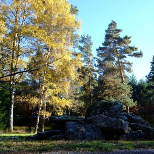 Photos 16 - Rurale - Domaine de 15 hectares au coeur de la nature