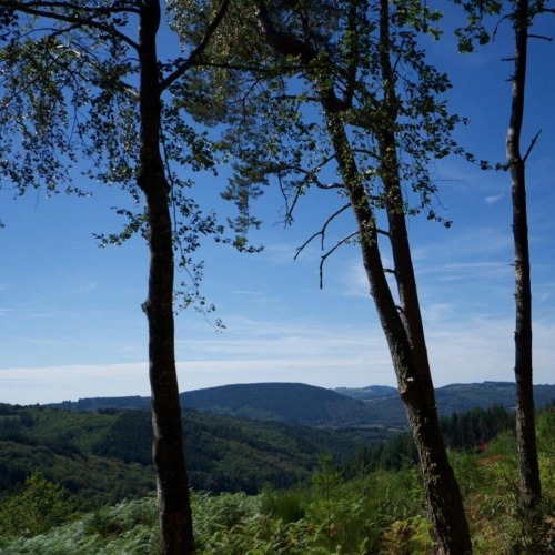 Photos 17 - Rurale - Domaine de 15 hectares au coeur de la nature