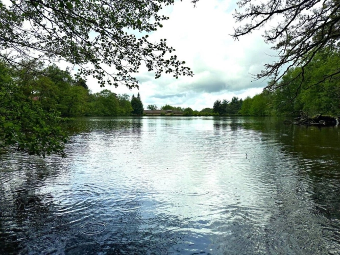 Photos 1 - Équestre - Moulin rénové avec étang, piscine et 8 hectares de terrains