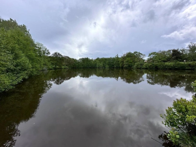 Photos 5 - Équestre - Moulin rénové avec étang, piscine et 8 hectares de terrains