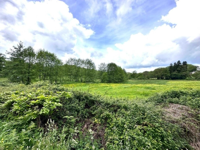 Photos 15 - Équestre - Moulin rénové avec étang, piscine et 8 hectares de terrains