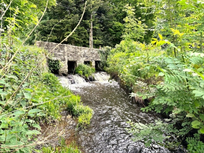 Photos 17 - Équestre - Moulin rénové avec étang, piscine et 8 hectares de terrains