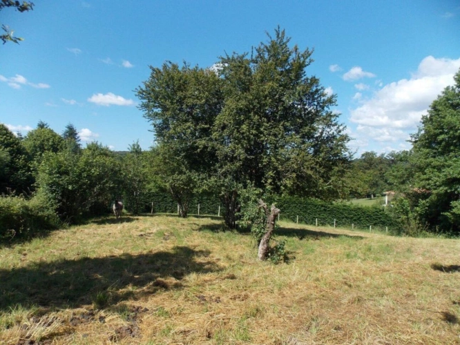 Photos 16 - Rurale - Rare opportunité d'acheter une maison individuelle avec 1 hectare de terrain attenant et un étang