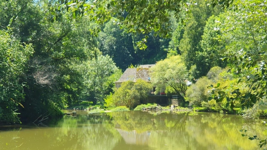 Photos 1 - Rurale - Magnifique moulin rénové dans un écrin de verdure