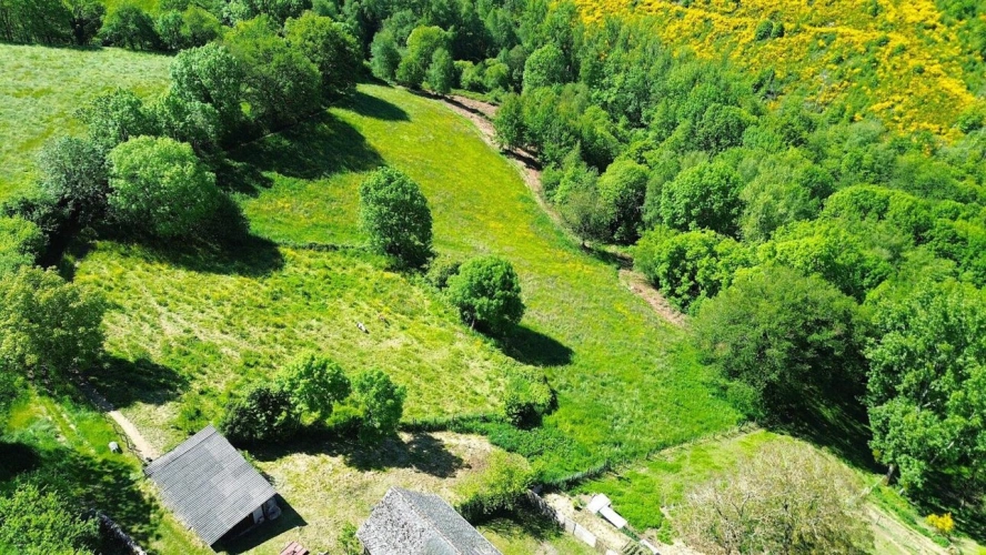 Photos 4 - Rurale - Maison T5 146 m² + grange de 300 m² + 7.35 ha