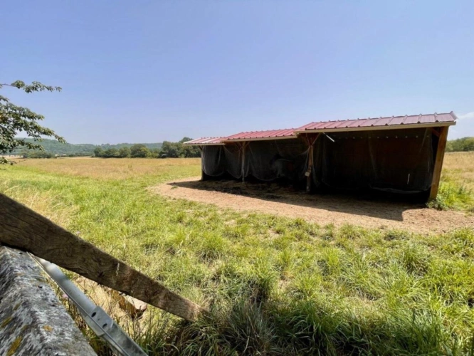 Photos 5 - Prestige - Élégante Propriété avec Terrain Plat et Dépendances pour Chevaux