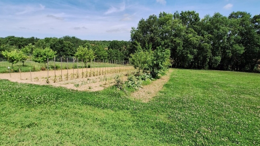 Photos 14 - Rurale - Maison nichée dans un écrin de verdure