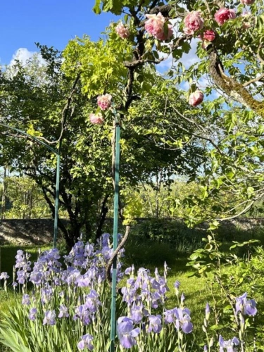 Photos 12 - Rurale - Demeure de charme à Lectoure Jardin Panoramique