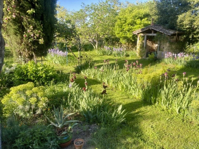 Photos 15 - Rurale - Demeure de charme à Lectoure Jardin Panoramique