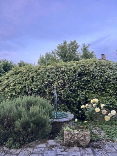 Photos 17 - Rurale - Demeure de charme à Lectoure Jardin Panoramique