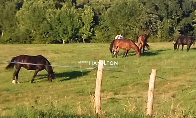 Photos 14 - Rurale - PETITE MAISON DANS LA PRAIRIE - PROPRIETE AVEC POTENTIEL EQUESTRE