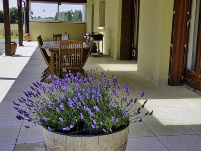 Photos 11 - Prestigious - Manor house with 4 gîtes and swimming pool