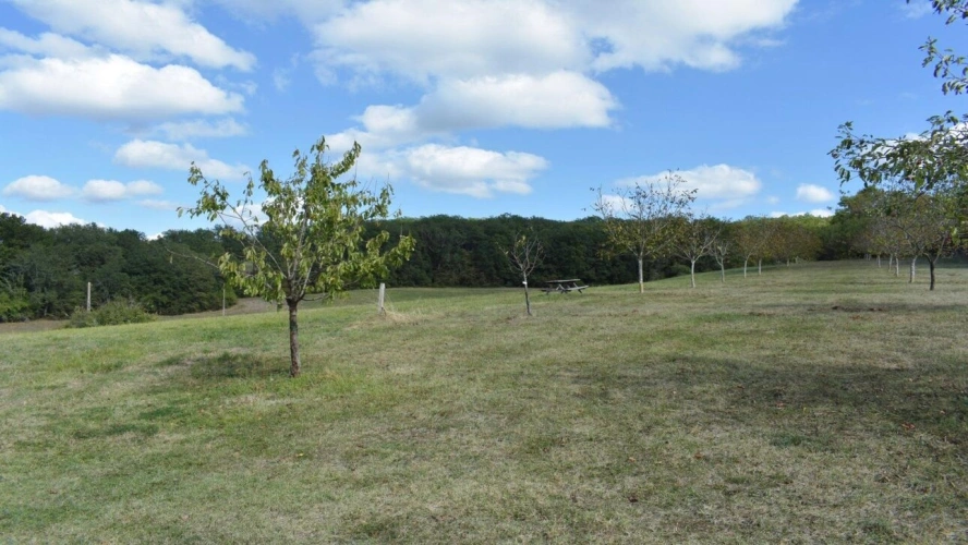 Photos 6 - Equestrian - Panoramic views, 12 hectares, no neighbours, very quiet area