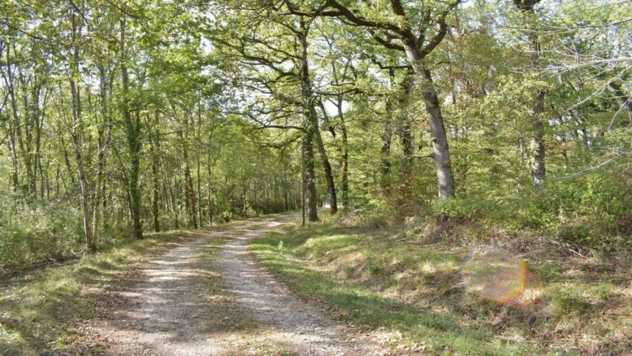 Photos 12 - Equestrian - Panoramic views, 12 hectares, no neighbours, very quiet area