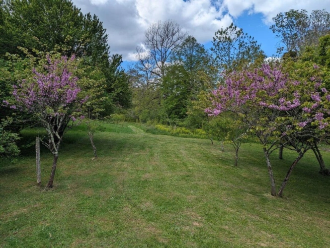 Photos 15 - Tourist - Property on 2.5 hectares with a river