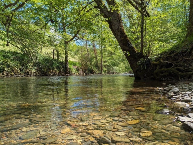 Photos 16 - Tourist - Property on 2.5 hectares with a river