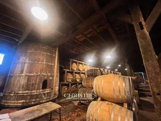 Photos 3 - Viticole - Domaine viticole & maison d’Armagnac haute technologie – Propriété d’exception au cœur du Gers