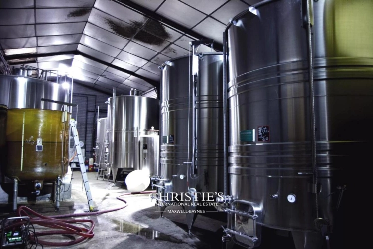 Photos 5 - Viticole - Domaine viticole & maison d’Armagnac haute technologie – Propriété d’exception au cœur du Gers