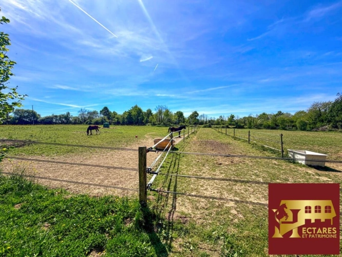 Photos 3 - Équestre - Propriété  2 Hectares et maison 90 m2 Notre Dame des landes