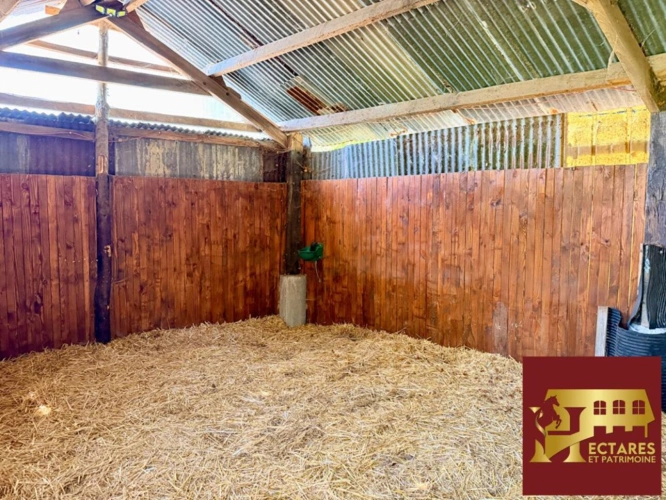 Photos 4 - Équestre - Propriété  2 Hectares et maison 90 m2 Notre Dame des landes