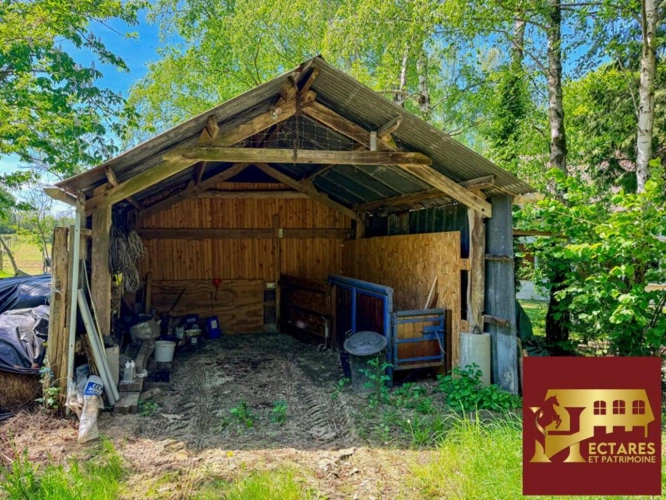 Photos 6 - Équestre - Propriété  2 Hectares et maison 90 m2 Notre Dame des landes