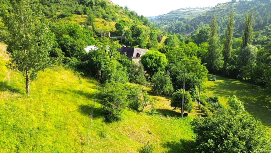 Photos 4 - Rurale - Maison de vigneron de caractère d'environ 250m sur 2770 m² de terrain