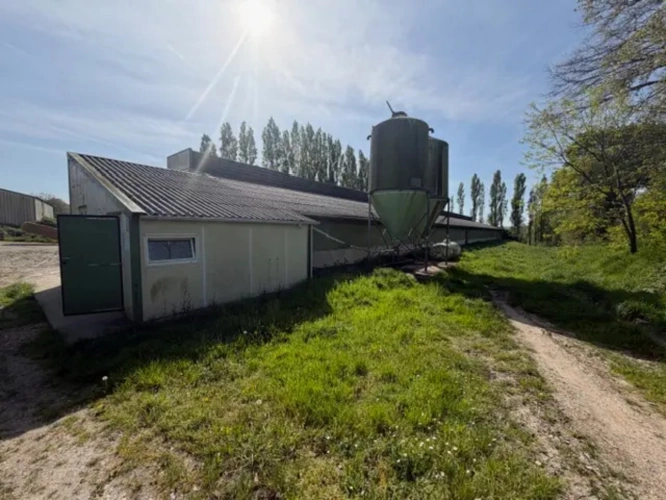 Photos 2 - Agricultural - Exploitation Avicole Ploermel