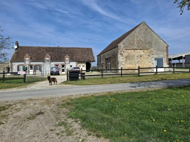 Photos 2 - Equestrian - ? Propriété équestre de caractère - Domaine de plus de