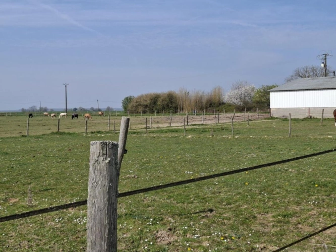 Photos 4 - Equestrian - ? Propriété équestre de caractère - Domaine de plus de