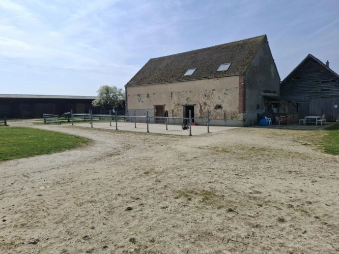 Photos 5 - Equestrian - ? Propriété équestre de caractère - Domaine de plus de