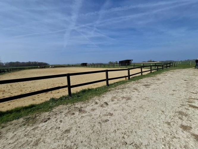 Photos 7 - Equestrian - ? Propriété équestre de caractère - Domaine de plus de