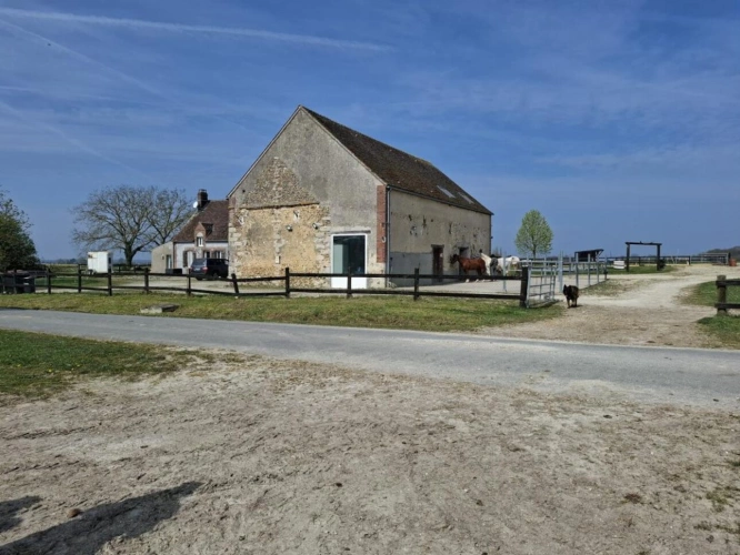 Photos 13 - Equestrian - ? Propriété équestre de caractère - Domaine de plus de